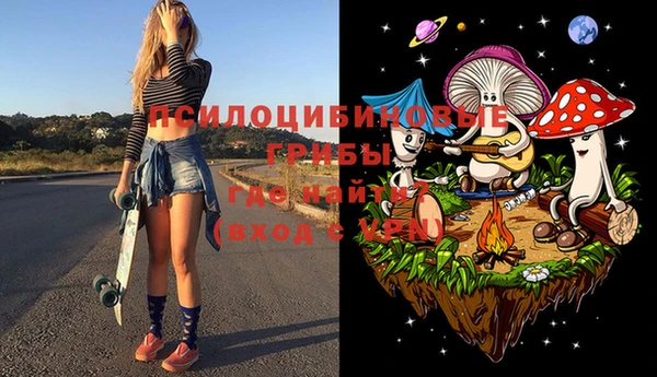 хмурый Дмитровск